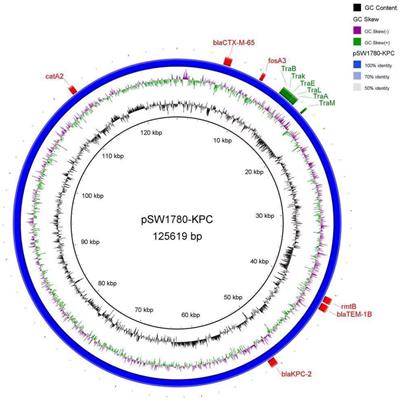 Subinhibitory antibiotic concentrations promote the horizontal transfer of plasmid-borne resistance genes from Klebsiellae pneumoniae to Escherichia coli